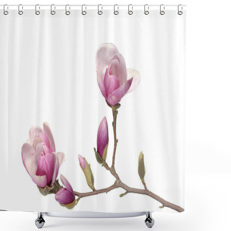 Personality  Pink Magnolia  Shower Curtains