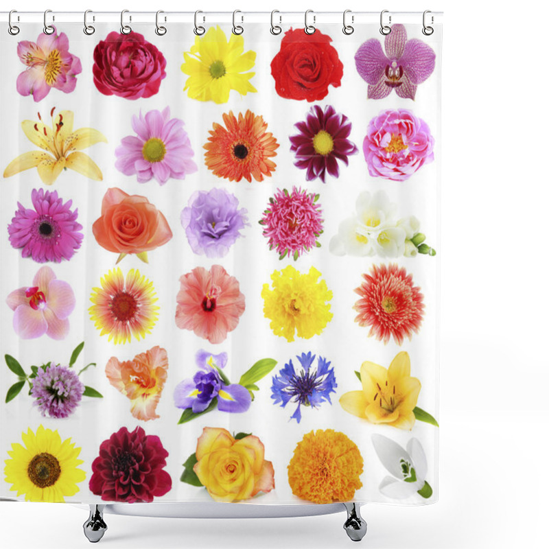 Personality  Beautiful Flowers Collage Shower Curtains