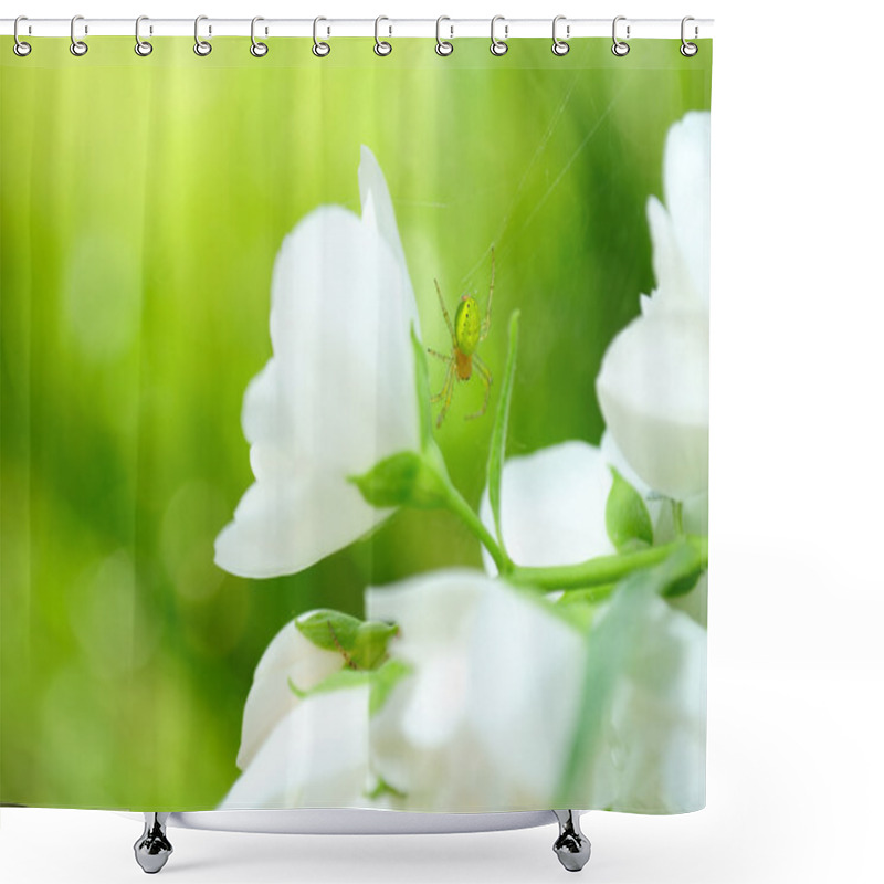 Personality  Green Spider On Jasmine Flower Shower Curtains