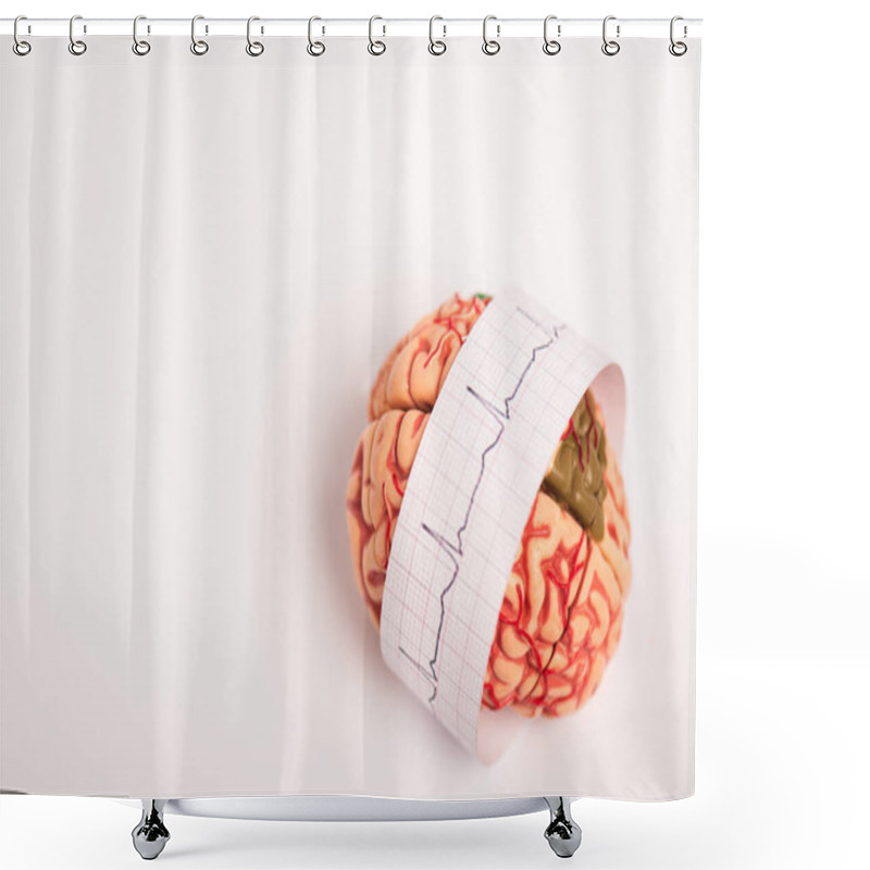 Personality  Brain Model With Electrocardiogram On Paper On White Background Shower Curtains