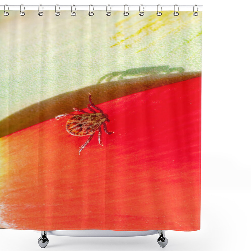 Personality  Ixodic Tick On A Red Flower Shower Curtains