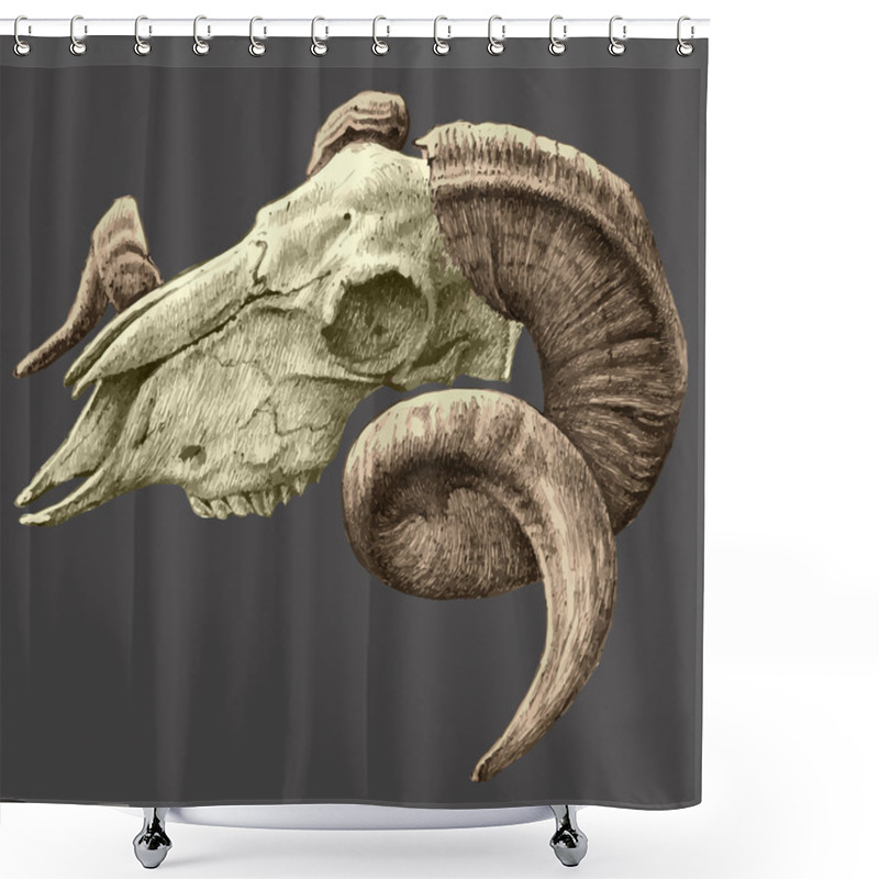 Personality  Illustration With Goat  Skull Shower Curtains