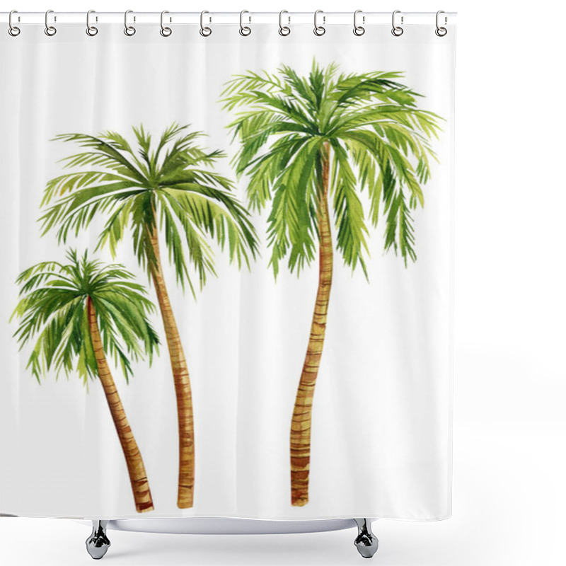 Personality  Watercolor Palm Trees Isolated On White Background. Hand Painted Palm Tree. High Quality Illustration Shower Curtains