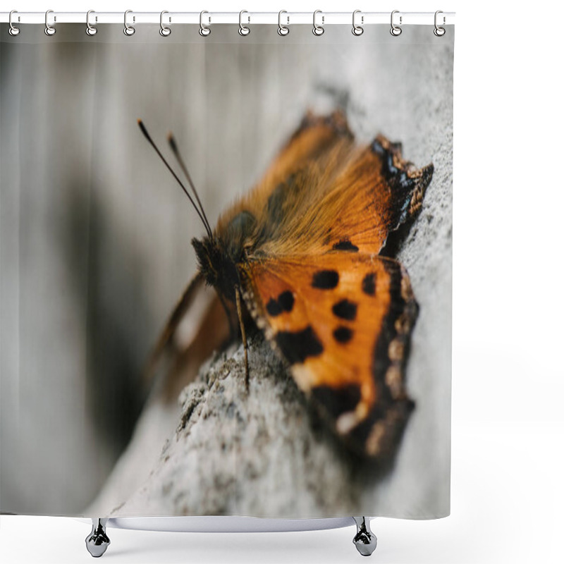 Personality  Close-up Shot Of Beautiful Butterfly Sitting On Stone Shower Curtains