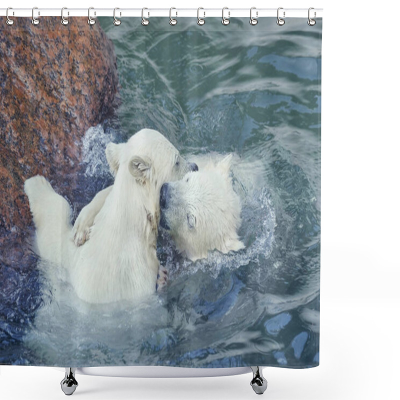 Personality  Two Little White Polar Bears Play In Water Shower Curtains