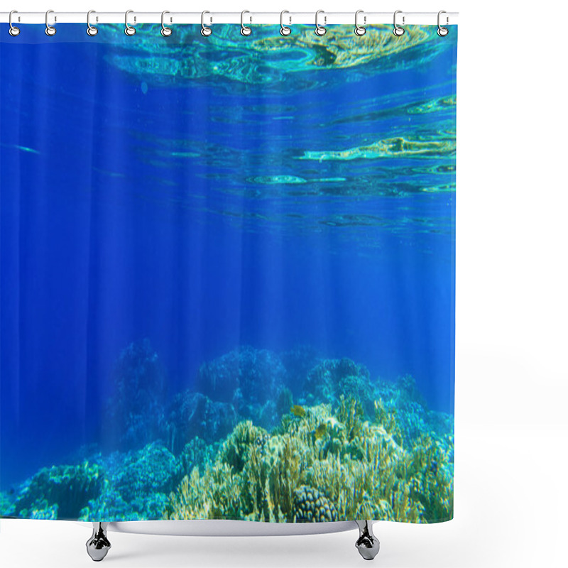 Personality  Tranquil Underwater Scene Shower Curtains