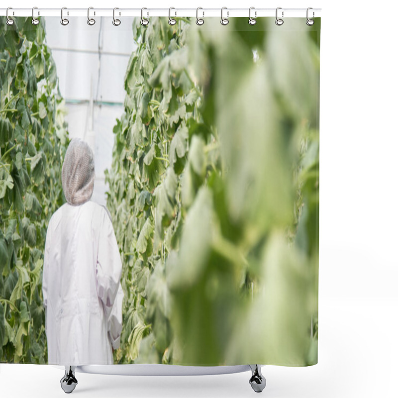 Personality  Scientist In Plant Green House Shower Curtains