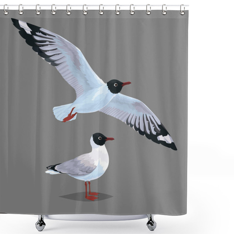 Personality  Realistic Bird Seagull Standing And Flying Isolated On A Grey Background. Vector. Shower Curtains