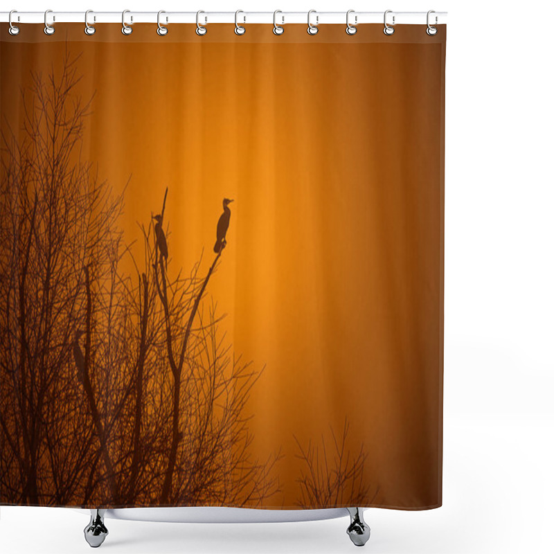 Personality  Birds In The Branches Shower Curtains