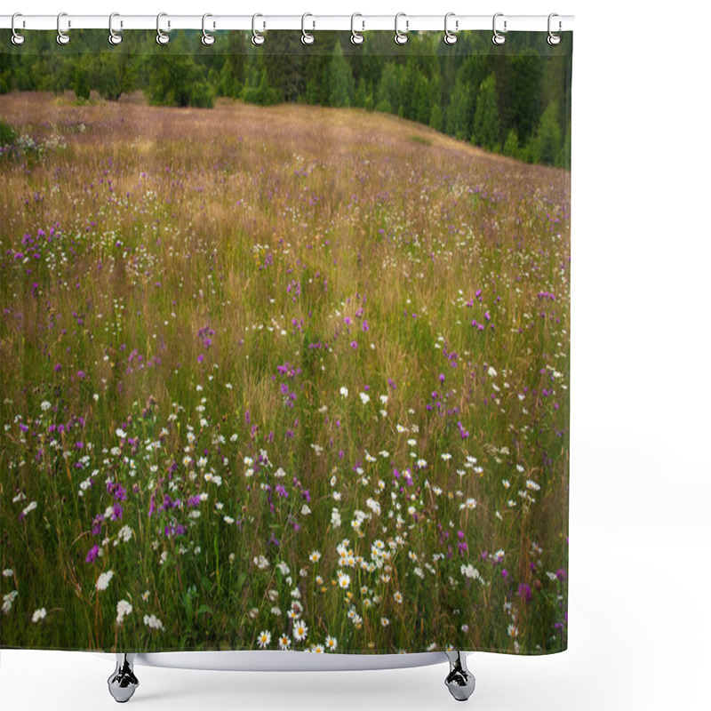 Personality  Flowering Daisies On A Meadow In The Summer. Field Flowers Bloom Shower Curtains