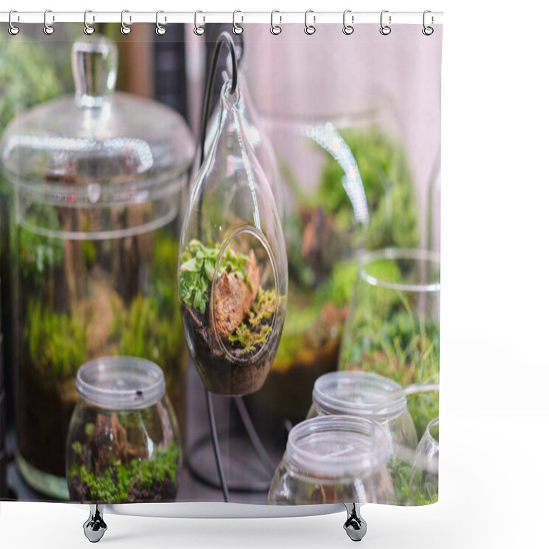 Personality  Female Holds Glass Florarium Vase With Succulent Plants Small Garden With Miniature Plants. Home Indoor Plants. DIY Florarium. Colorful Plants Growing In Glass Geometric Shower Curtains