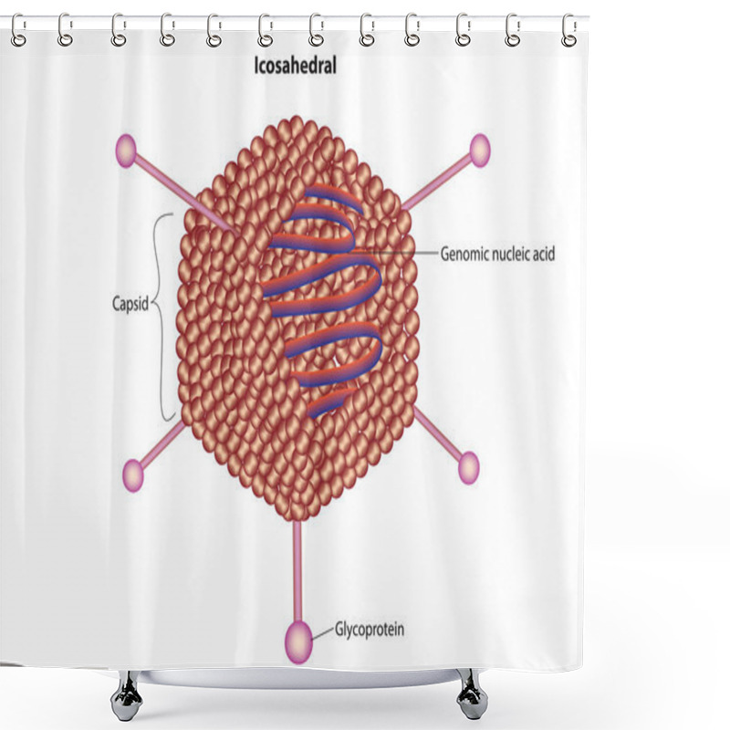 Personality  Icosahedral Shape Of A Virus Shower Curtains