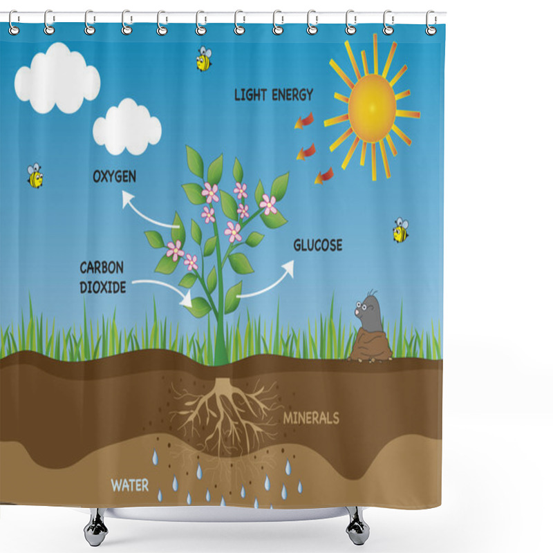 Personality  Photosynthesis Shower Curtains