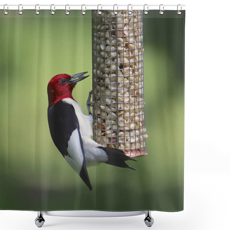 Personality  Red-headed Woodpecker Eating For A Bird Feeder (melanerpes Erythrocephalus) Shower Curtains