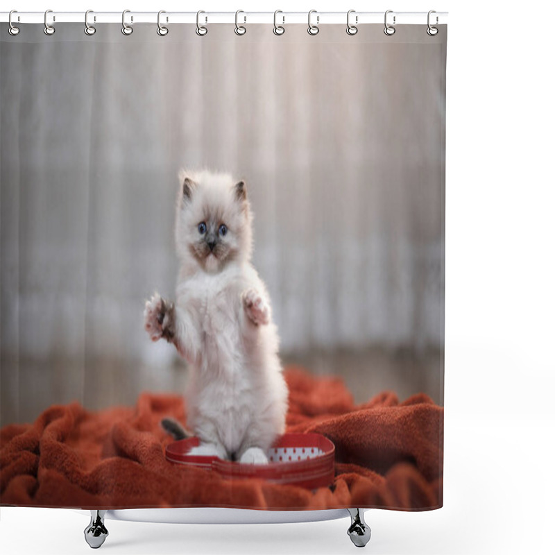 Personality  Cute Kitten With A Heart. Pet On 14 February. Cat At Home On A Soft Blanket Shower Curtains