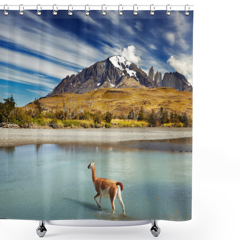 Personality  Torres Del Paine National Park, Chile Shower Curtains