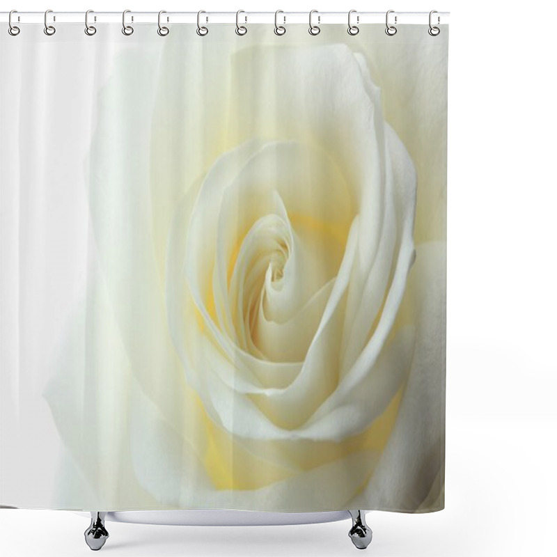 Personality  Beautiful White Rose Shower Curtains