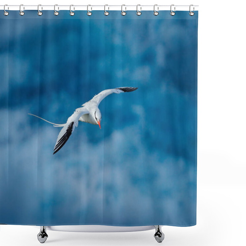 Personality  Red-billed Tropicbird, Phaethon Aethereus, Rare Bird From The Caribbean. Flying Tropicbird With Green Forest In Background. Wildlife Scene From Little Tobago. White Bird Flight In The Nature, Trinidad Shower Curtains