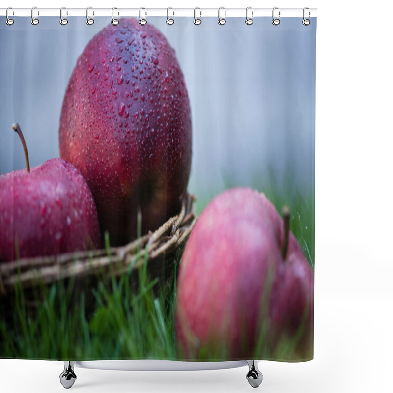 Personality  Fresh Ripe Apples In Grass  Shower Curtains