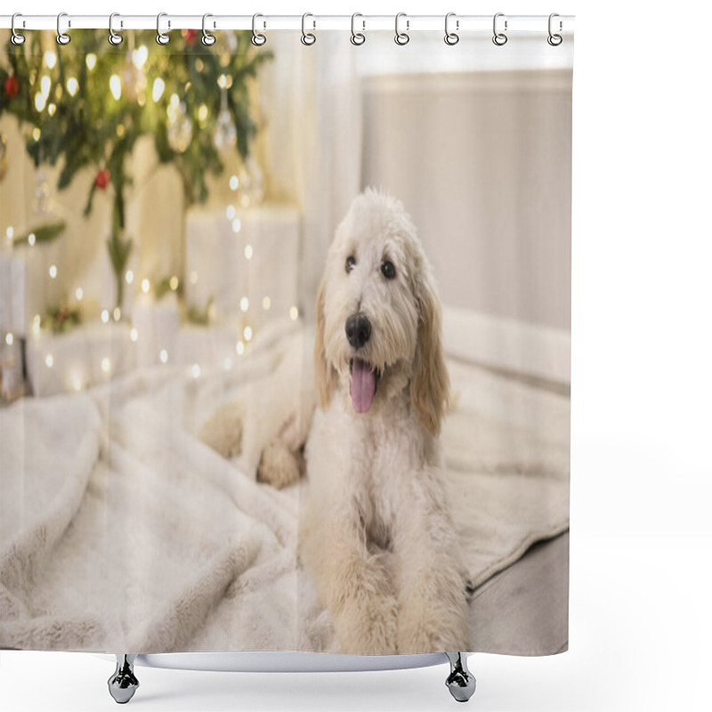 Personality  Happy Dog Laying Down In Front Of Christmas Tree Shower Curtains