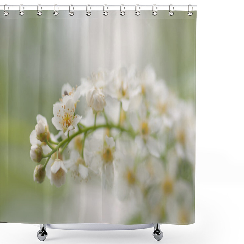 Personality  White Flowers. Shower Curtains