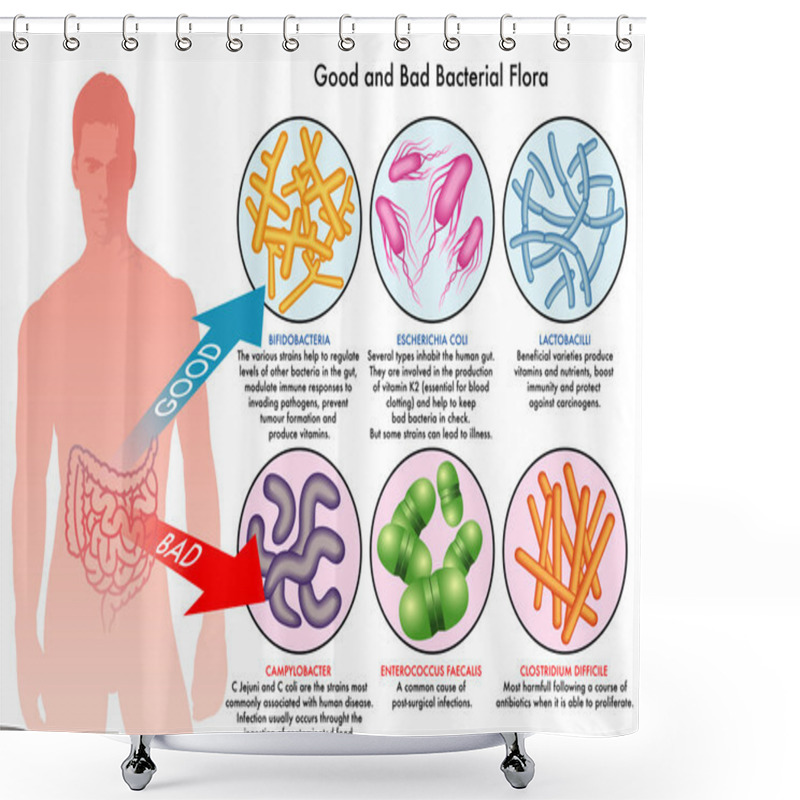 Personality  Good And Bad Bacteria Infecting Human Shower Curtains