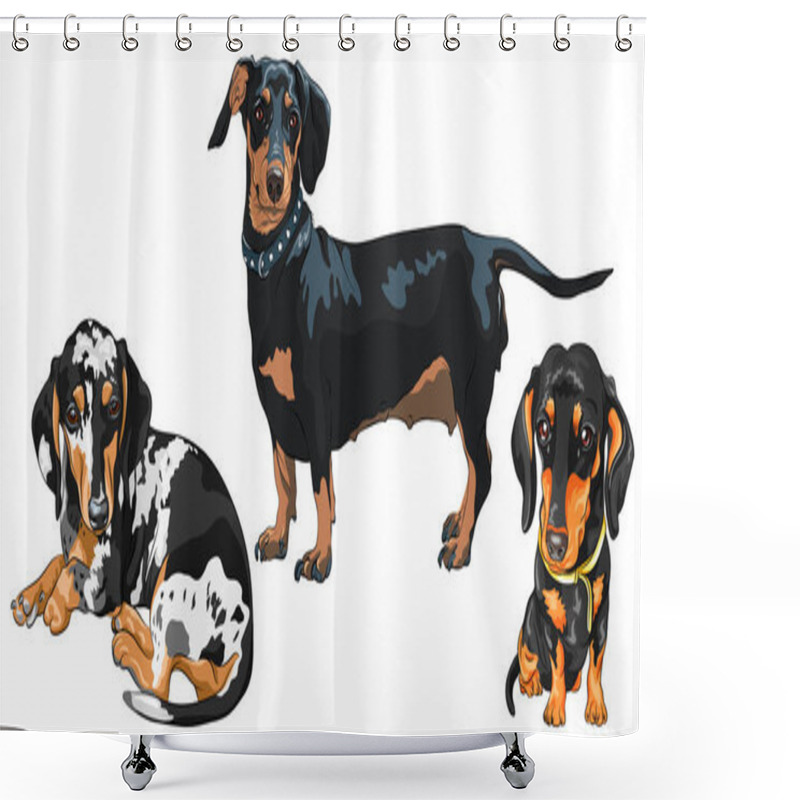 Personality  Set Of Black And Tan Smooth-haired Miniature Dogs Dachshund Breed Shower Curtains