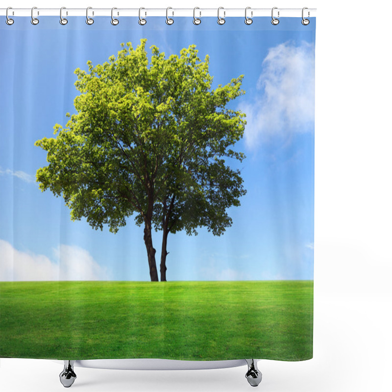 Personality  A Big Maple Tree On Green Field Shower Curtains