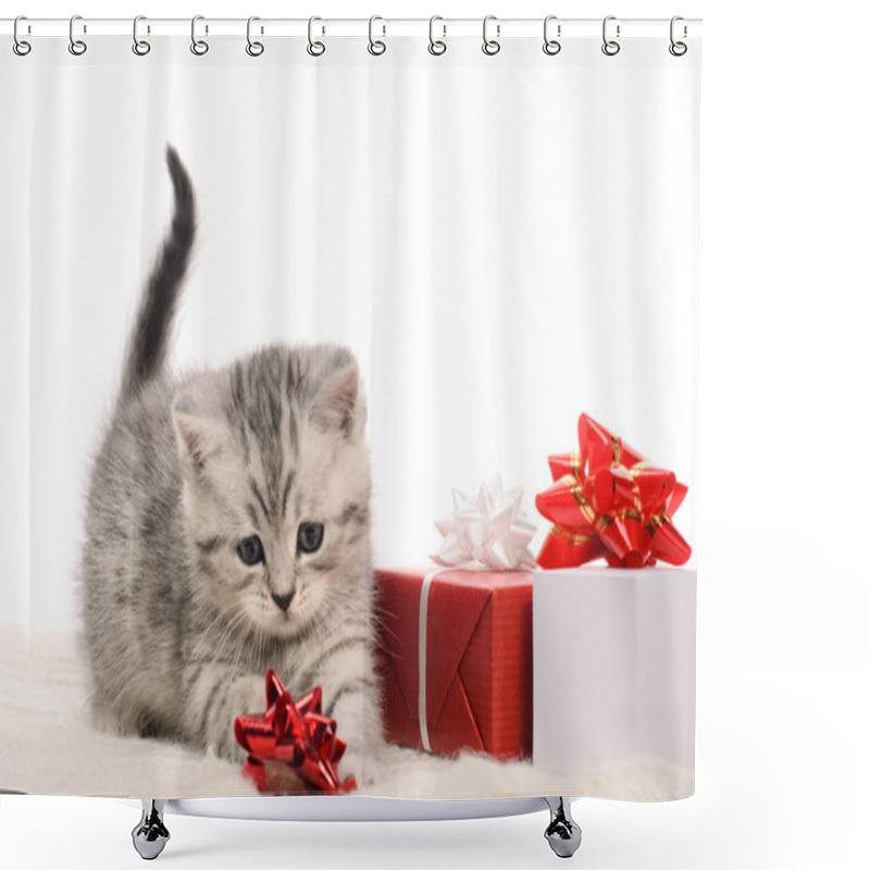 Personality  Active Gray Kitty And Boxes Of Gifts Shower Curtains