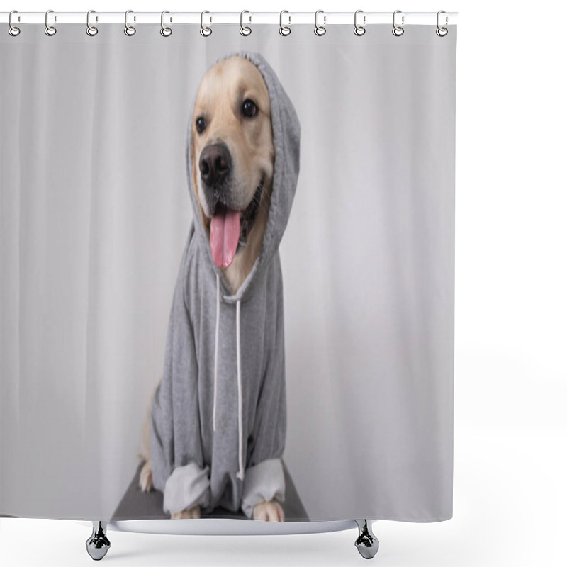 Personality  A Dog In A Gray Sweatshirt With A Hood. Golden Retriever In Clothes Sits On A White Background. Shower Curtains