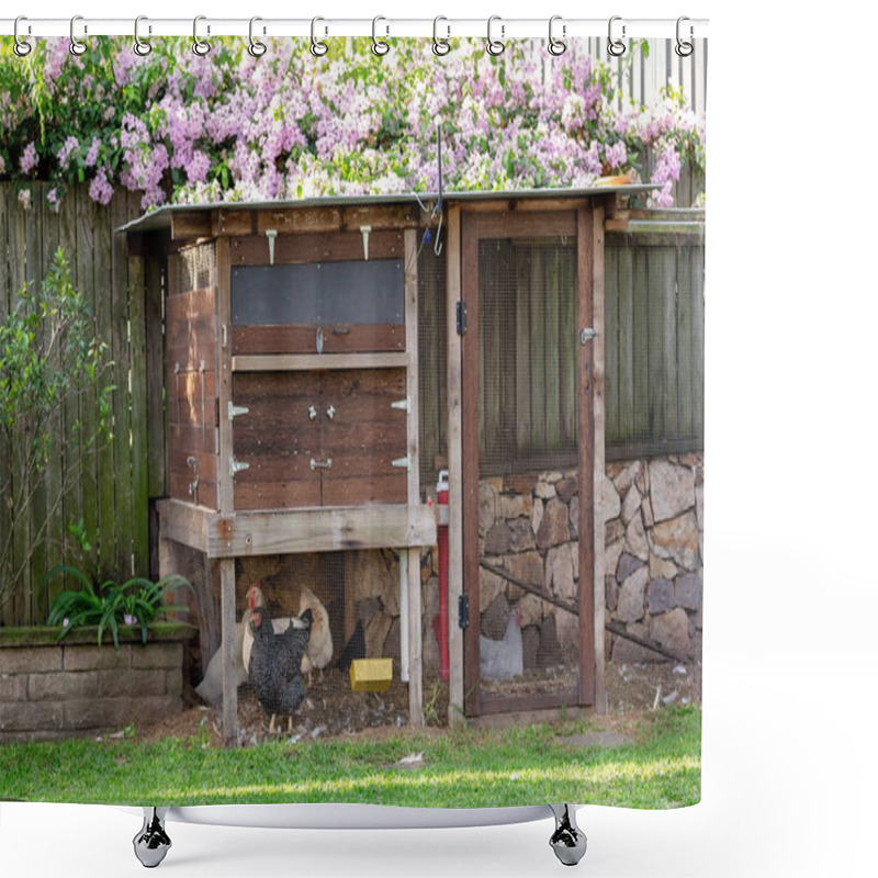 Personality  Chickens In A Backyard Hen House Shower Curtains