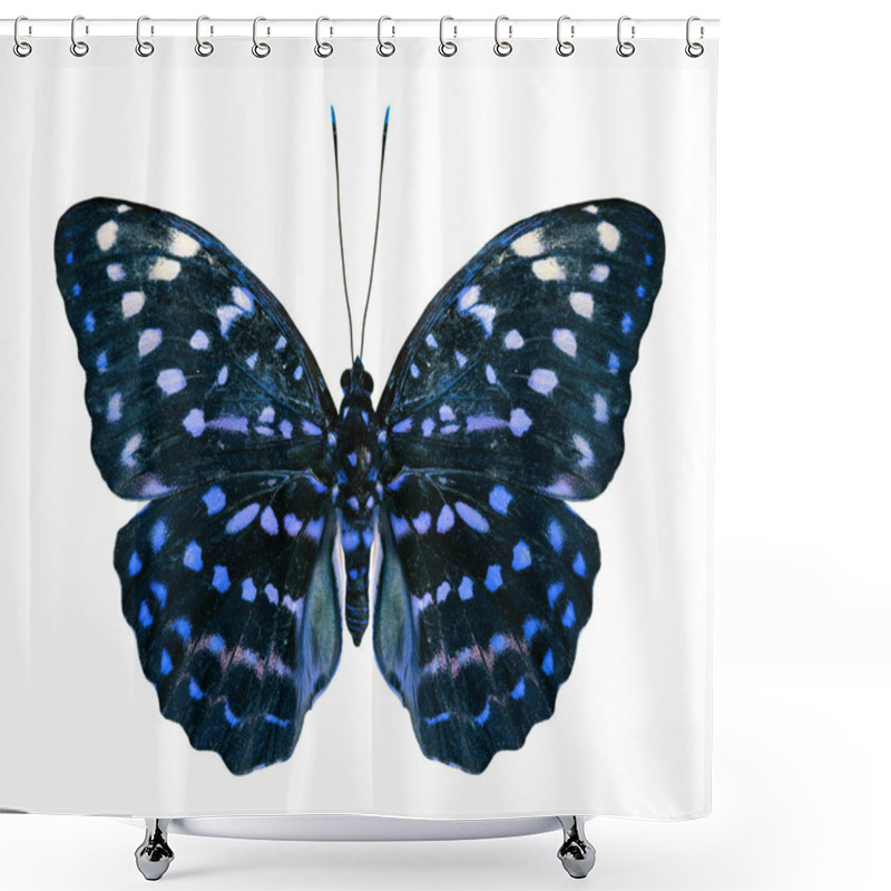 Personality  Beautiful Blue Butterfly Isolated On White Background Shower Curtains