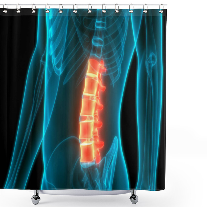 Personality  Vertebral Column Lumbar Vertebrae Of Human Skeleton System Anatomy. 3D Shower Curtains