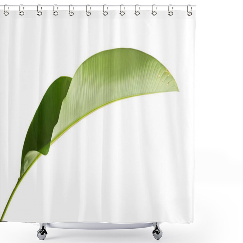 Personality  Strelitzia Reginae, Heliconia, Tropical Leaf, Bird Of Paradise Foliage Isolated On White Background, With Clipping Path Shower Curtains