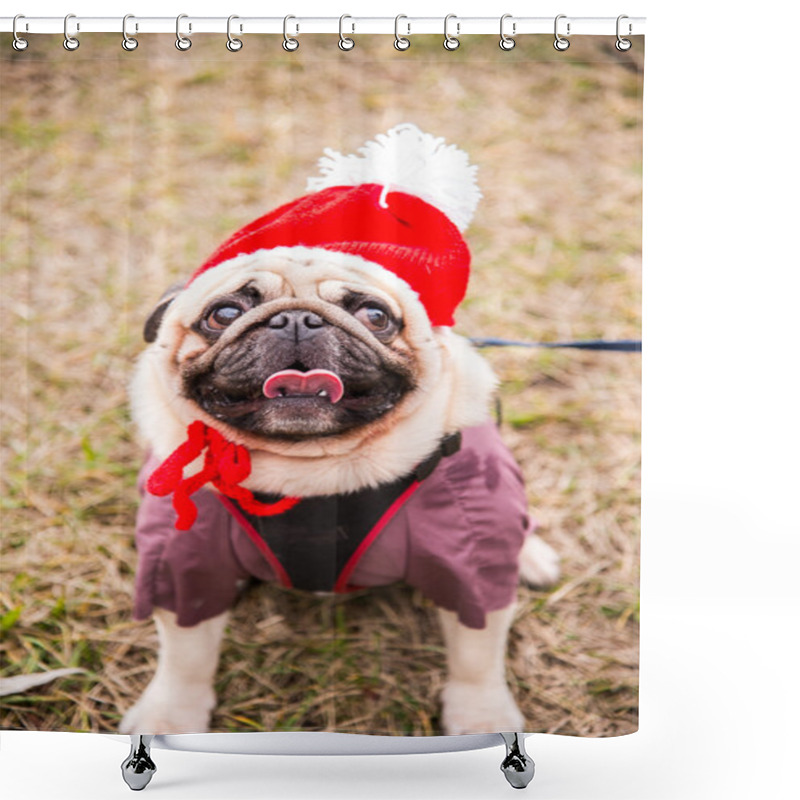 Personality  Dog Mops. Dog Dressed As Santa Claus Shower Curtains