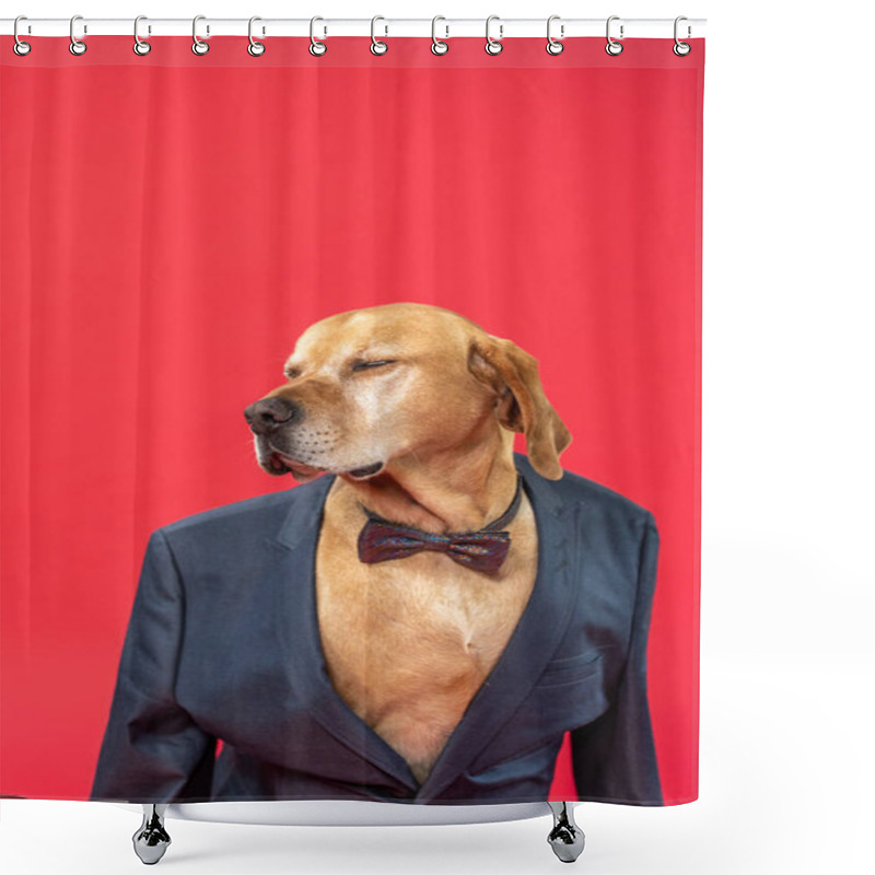 Personality  Cute Dog With Bow-tie And Business Suit. Against A Red Background. Christmas And New Years Eve Vibe. High Quality Photo Shower Curtains