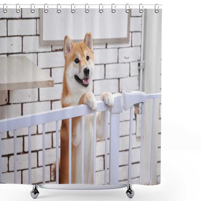 Personality  A Chiba Dog Smiling In The Case Shower Curtains