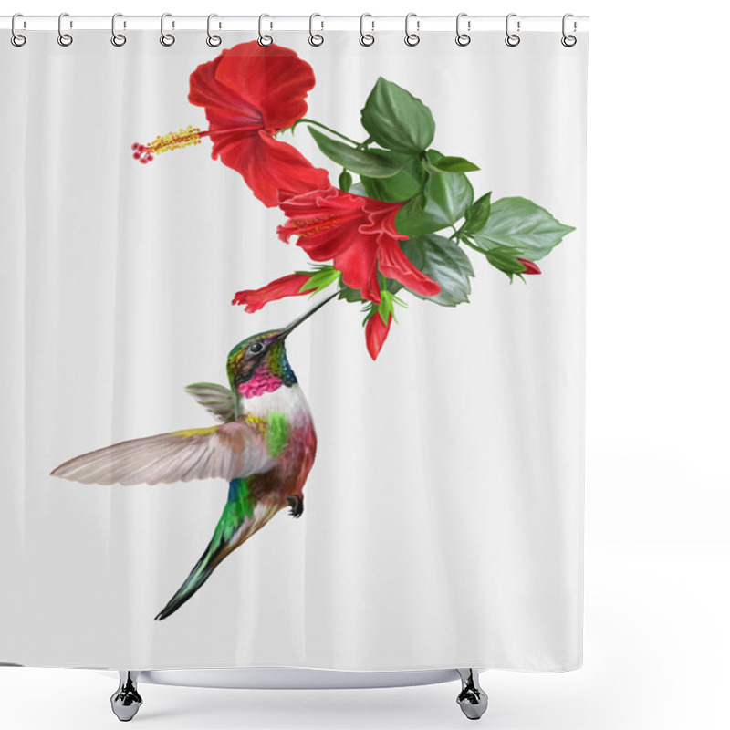 Personality  Small Bird Hummingbird And Bright Red Rose Hibiscus Vector Illustration Shower Curtains