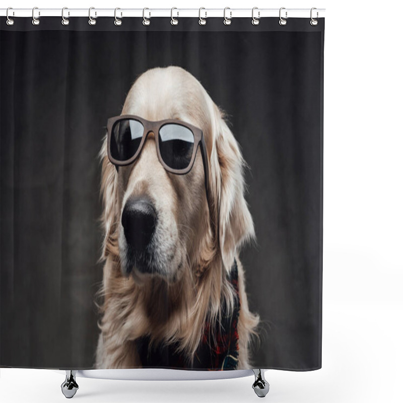 Personality  Cool And Fashionable Dog Golden Retriever Breeds In Dark Background Shower Curtains