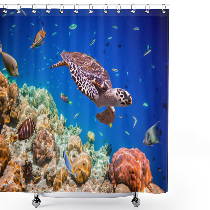 Personality  Eretmochelys Imbricata Shower Curtains