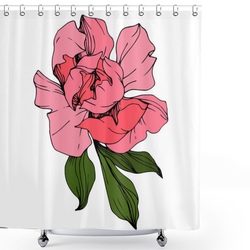 Personality  Vector Pink Peony. Wildflower Isolated On White. Engraved Ink Art.  Shower Curtains