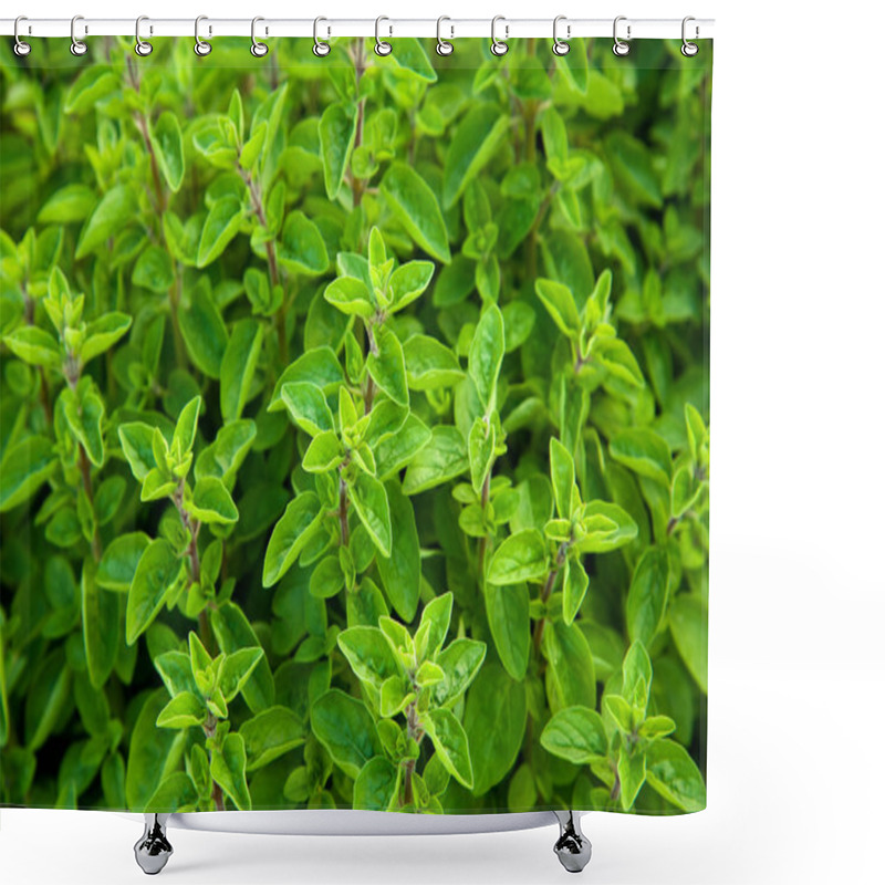 Personality  Marjoram Shower Curtains