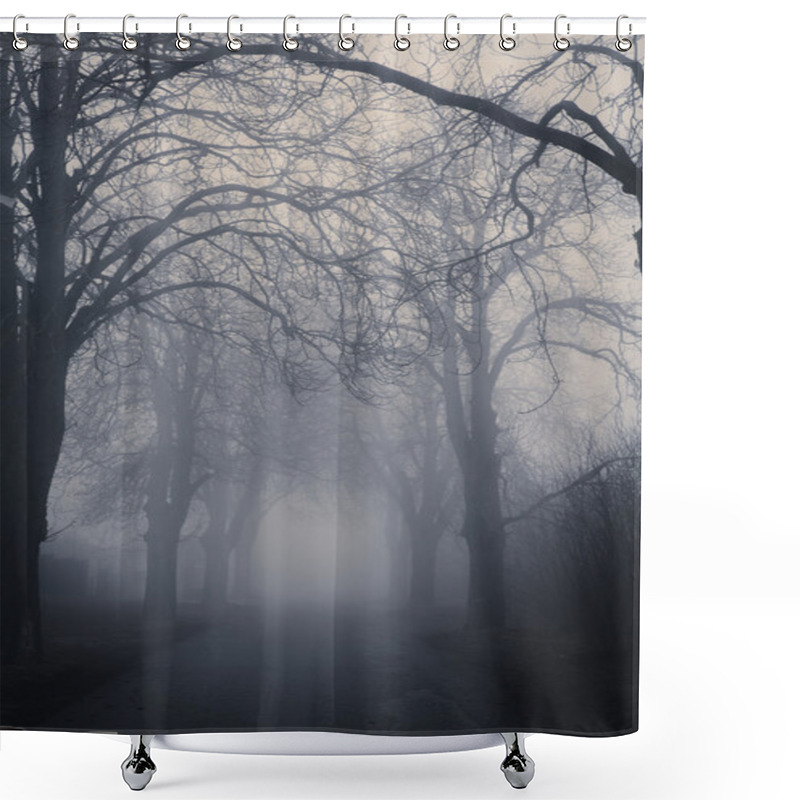 Personality  Straight Foggy Passage Surrounded By Dark Trees Shower Curtains