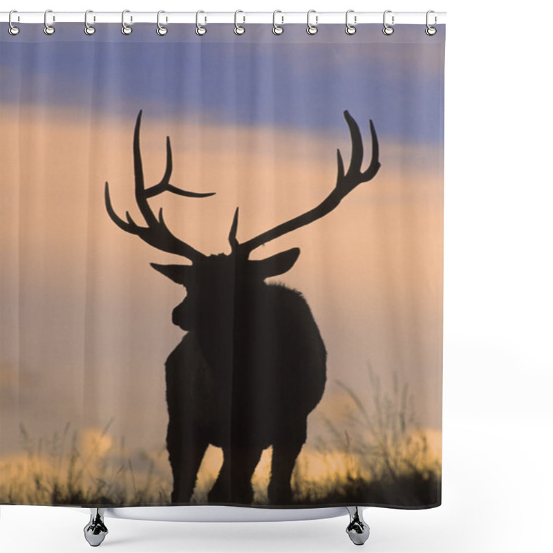 Personality  Bull Elk In Sunset Shower Curtains