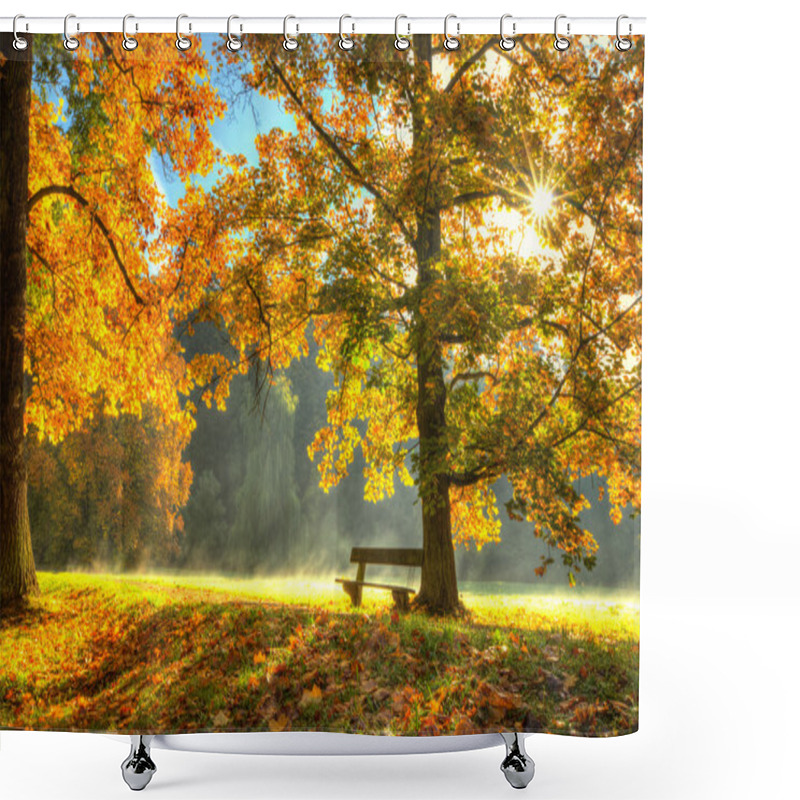 Personality  Beautiful Autumn Tree With Fallen Dry Leaves Shower Curtains