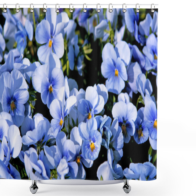 Personality  Beautiful Violet Flowers Background Shower Curtains