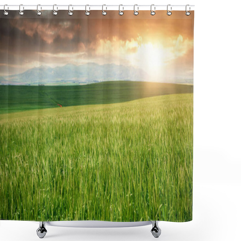 Personality  Green Beautiful Wheat Field Shower Curtains