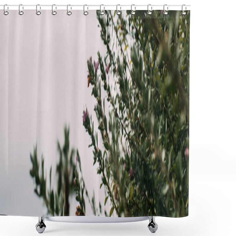 Personality  Panoramic Shot Of Green Leaves On Branches Against Cloudy Sky  Shower Curtains