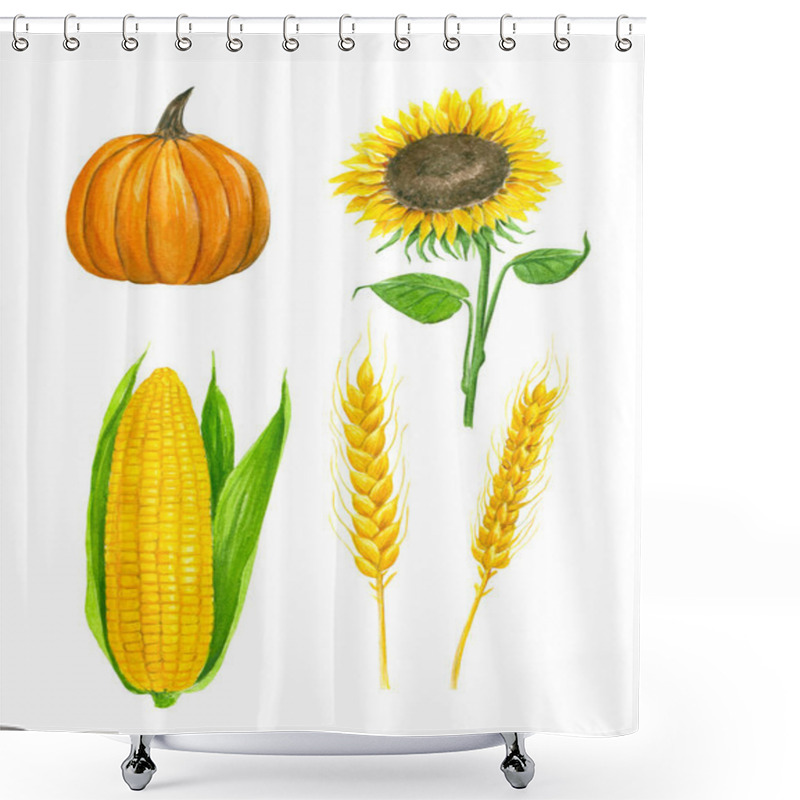 Personality  Collection Of Autumn Harvest Foods - Pumpkin, Ear Of Corn, Sunflower And Wheat Ears. Watercolor Elements For Design. Shower Curtains