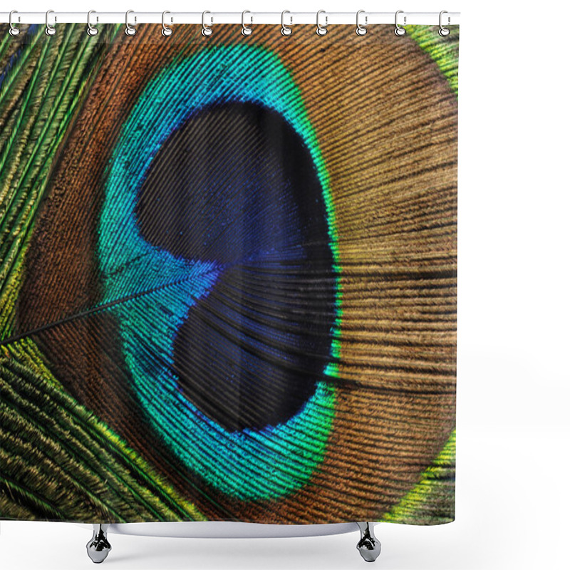 Personality  Peacock Feather Shower Curtains